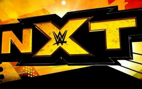 反向召回风潮更多的主阵明星选择回到NXT