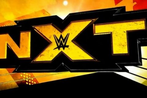 反向召回风潮更多的主阵明星选择回到NXT