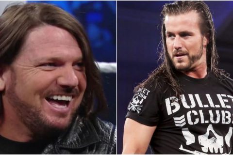 WWE弹帮头目之争打响AJ与科尔触发引火钱