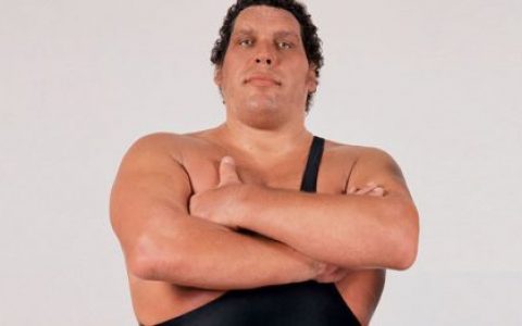 巨人安德雷 Andre the Giant