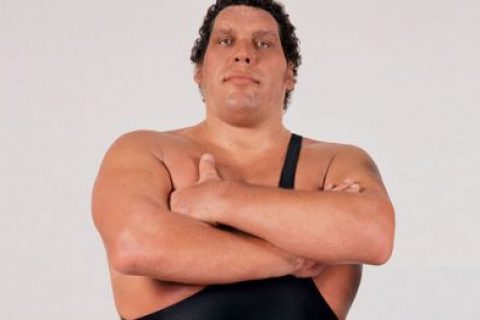 巨人安德雷 Andre the Giant