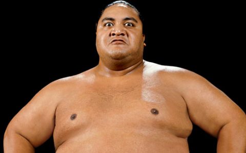 横纲 Yokozuna