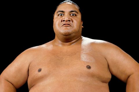 横纲 Yokozuna