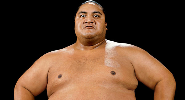 横纲 Yokozuna