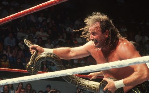 杰克·罗伯茨 Jake Roberts