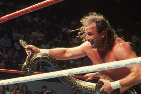 杰克·罗伯茨 Jake Roberts