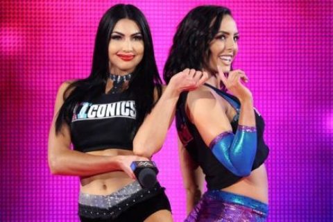 标志双子 The IIconics