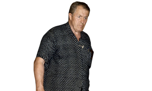 斯图·哈特 Stu Hart