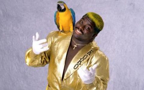 可可B·维尔 Koko B. Ware