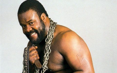 终极色魔 Junkyard Dog