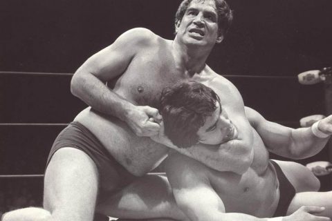 杰克·布里斯科 Jack Brisco