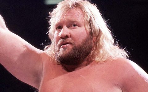 约翰·施达德 Big John Studd