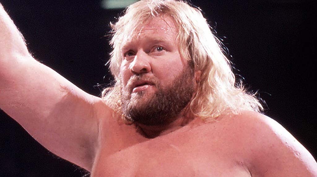约翰·施达德 Big John Studd