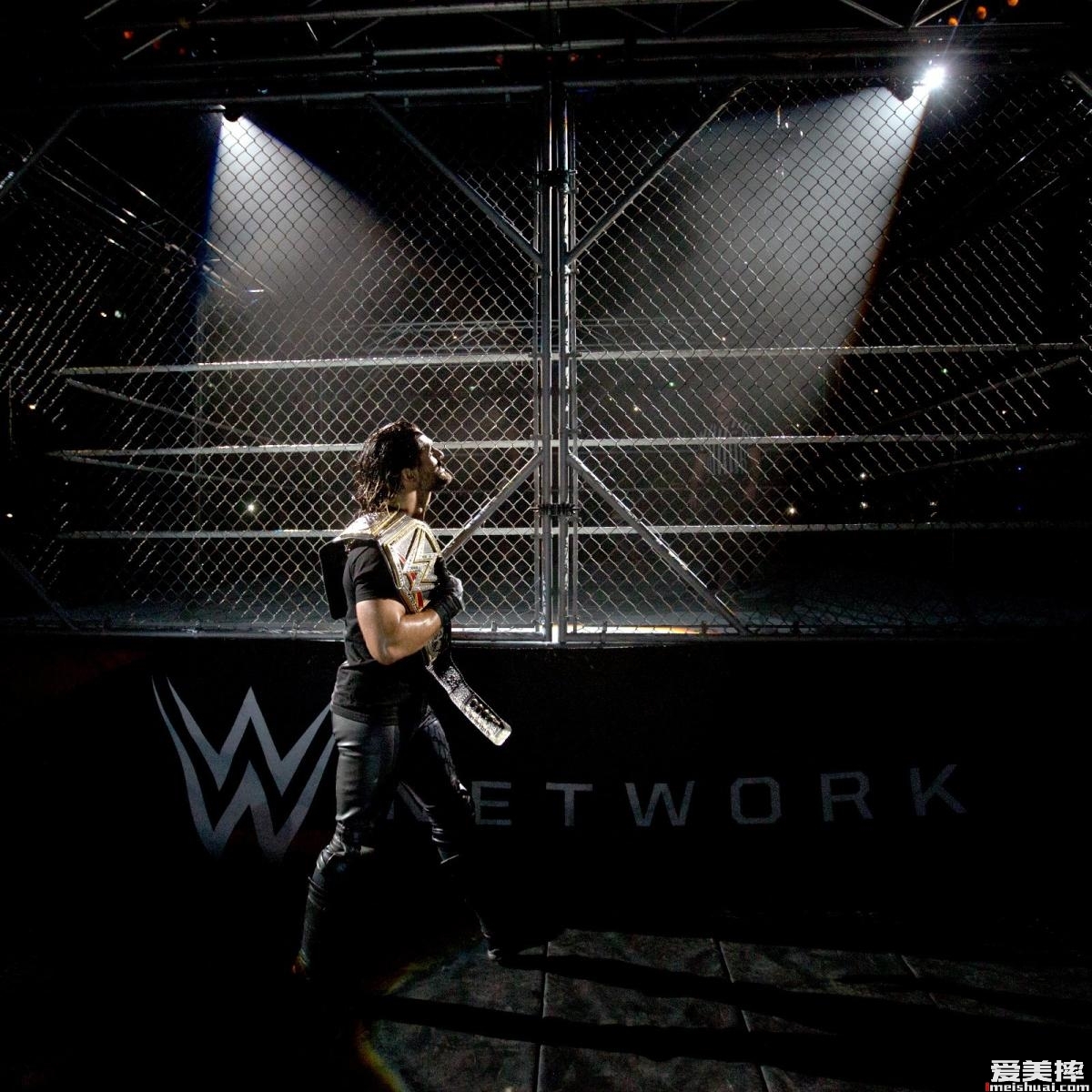 WWE“弑兽者”赛斯罗林斯