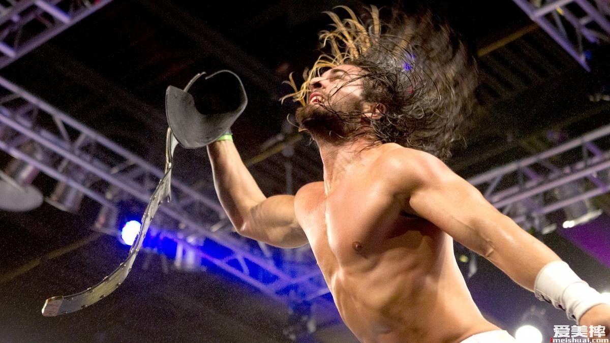 WWE“弑兽者”赛斯罗林斯