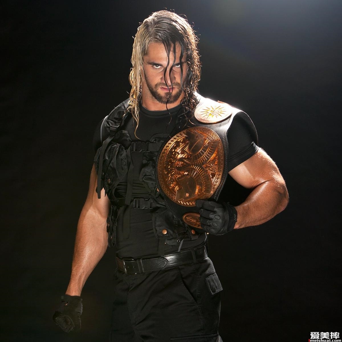 WWE“弑兽者”赛斯罗林斯
