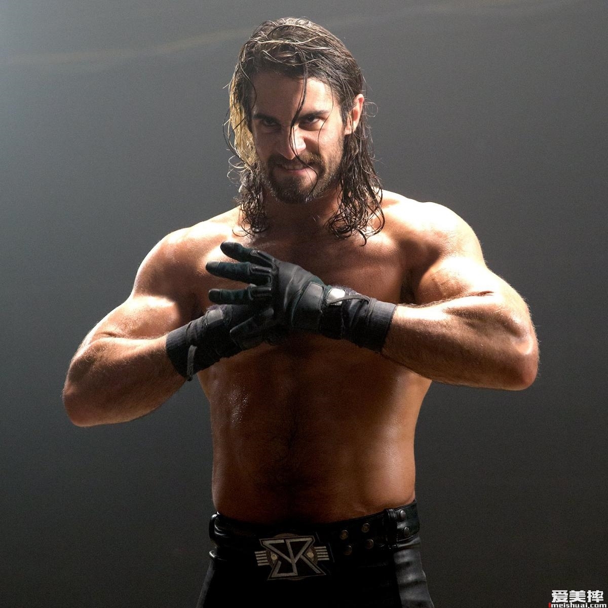 WWE“弑兽者”赛斯罗林斯