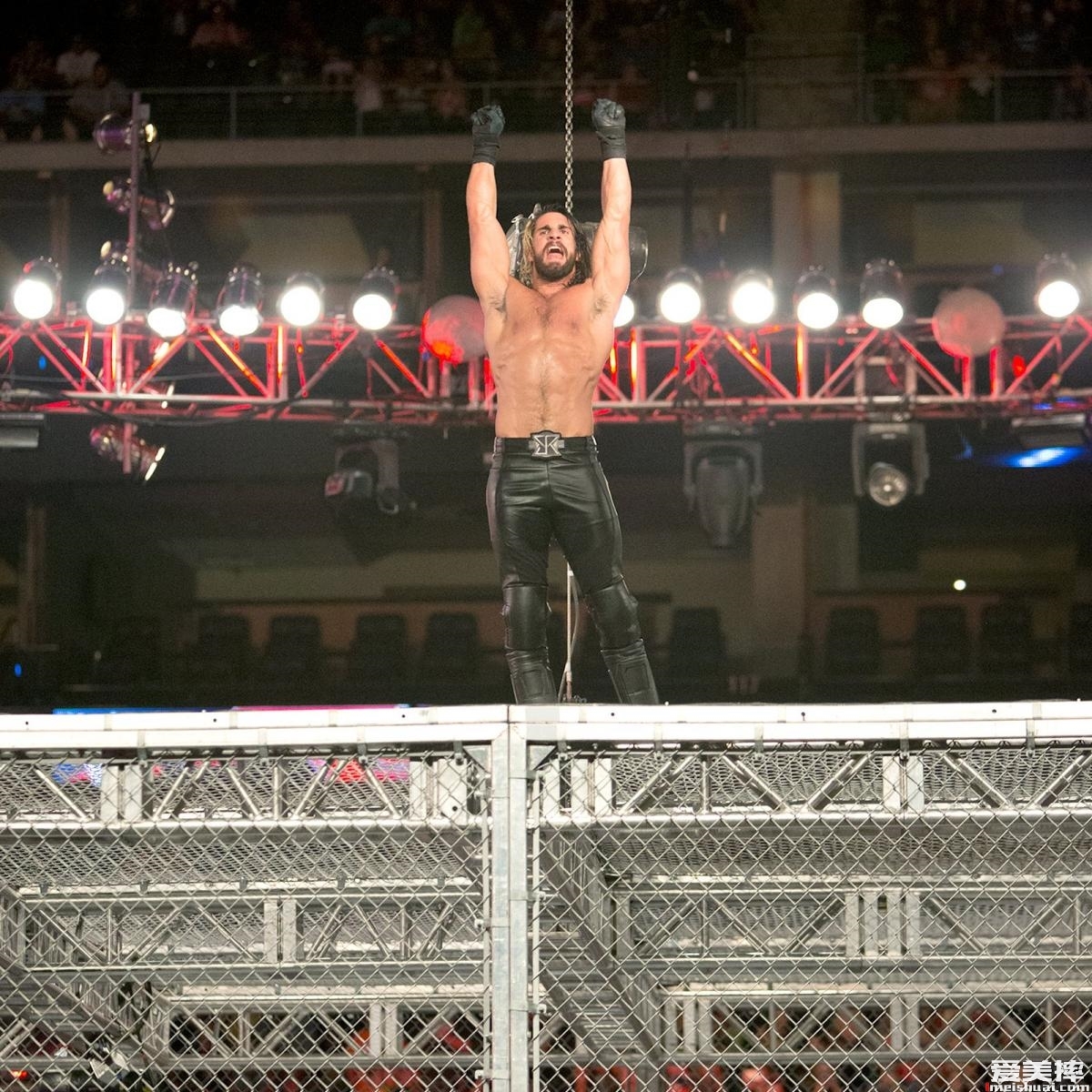 WWE“弑兽者”赛斯罗林斯