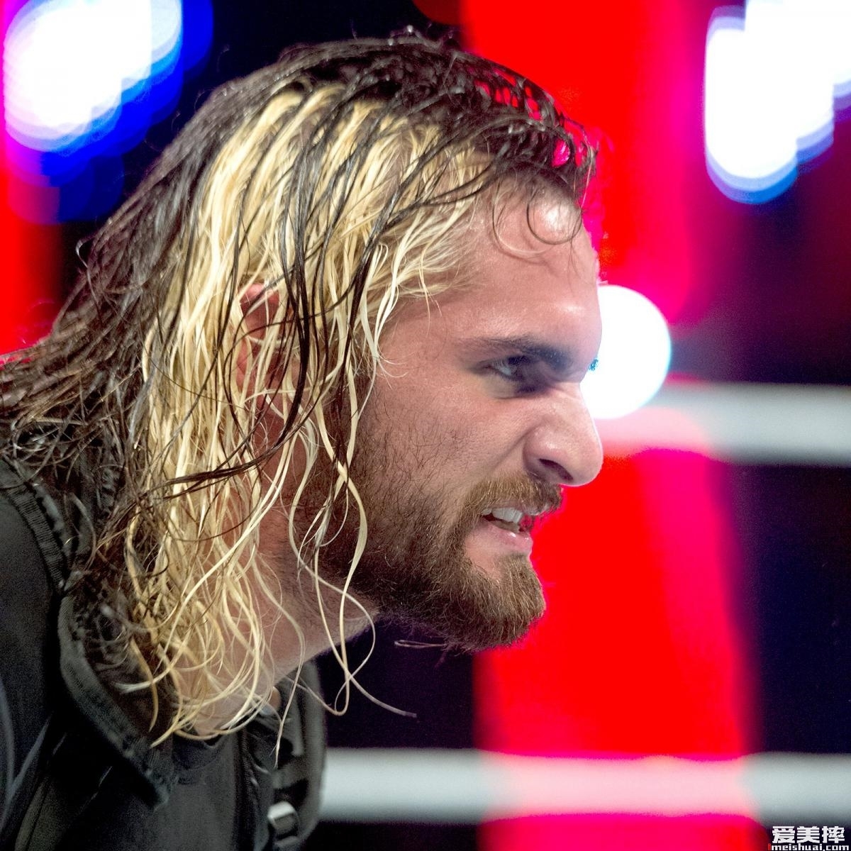 WWE“弑兽者”赛斯罗林斯