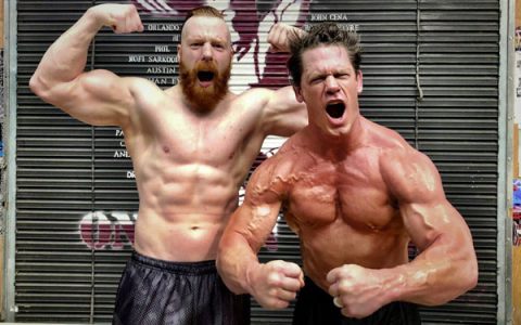 2020年，WWE7位彻底改头换面的超级明星！