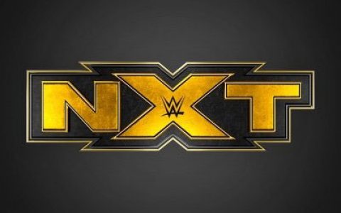 预测一下WWE红蓝品牌被闲置的明星哪些会转会黄色品牌？
