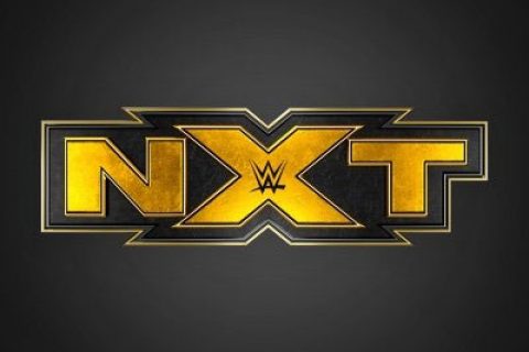 预测一下WWE红蓝品牌被闲置的明星哪些会转会黄色品牌？