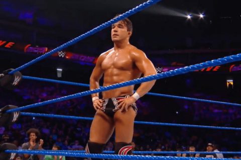 WWE5位即将冉冉升起的新星有你喜欢的吗？