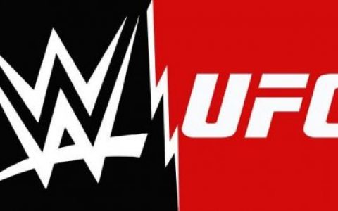 UFC传奇女将机械婆将出战合约公文包大赛