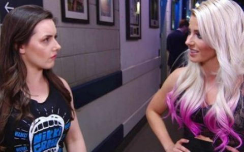 WWE女子双打冠军为何突然易主？背后有着什么样的更大安排？