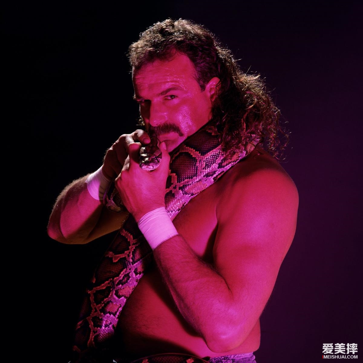 WWE里12个最恐怖的选手