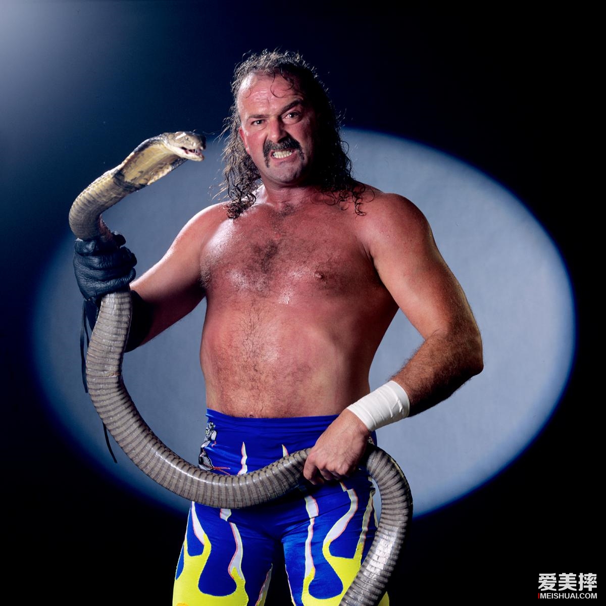 WWE里12个最恐怖的选手