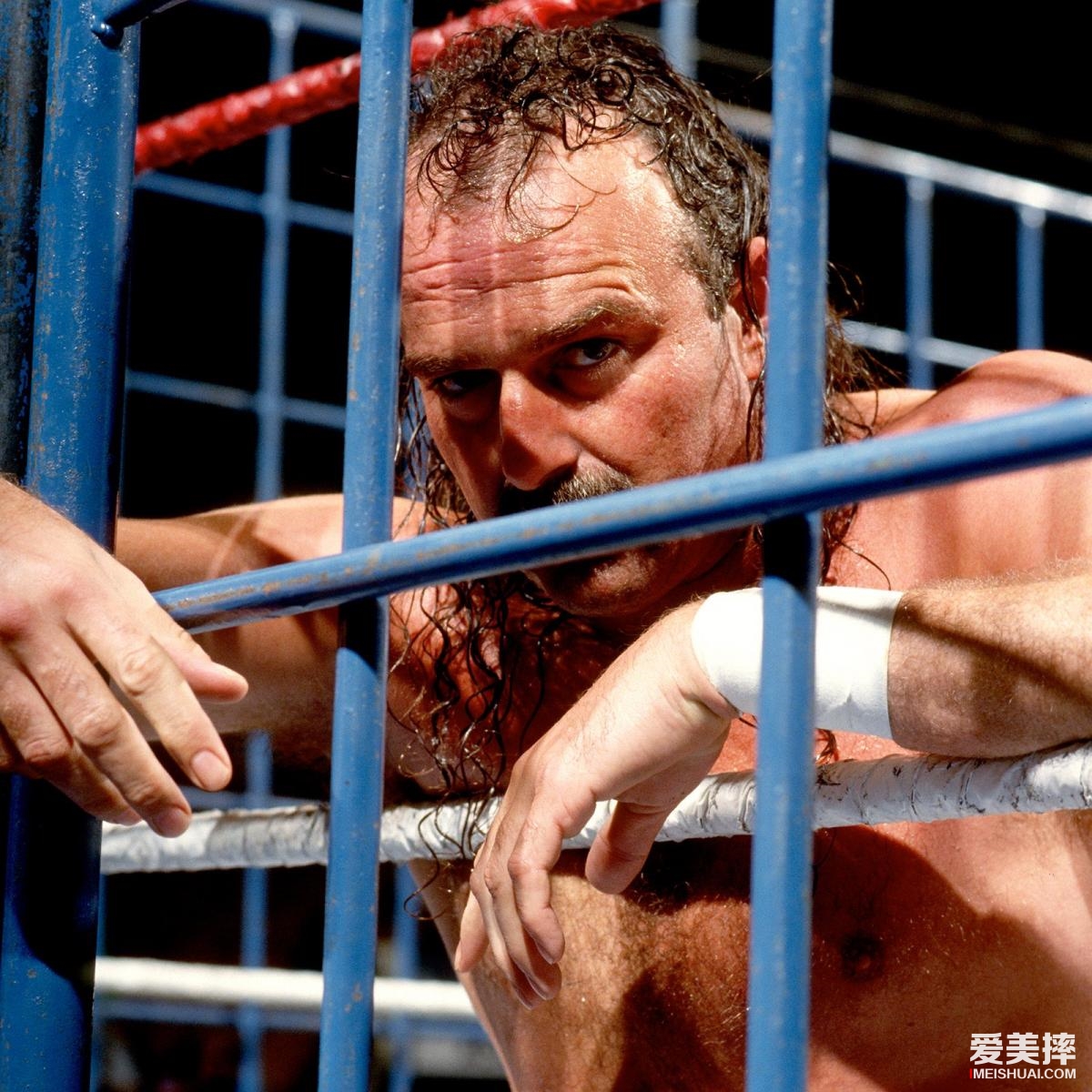 WWE里12个最恐怖的选手