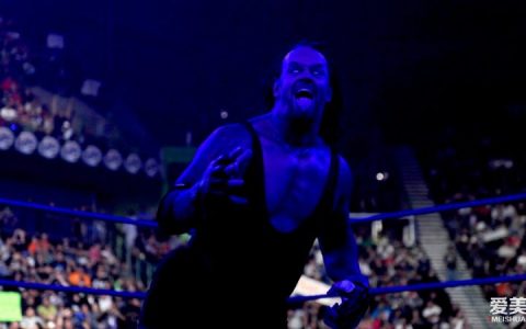 WWE传奇送葬者
