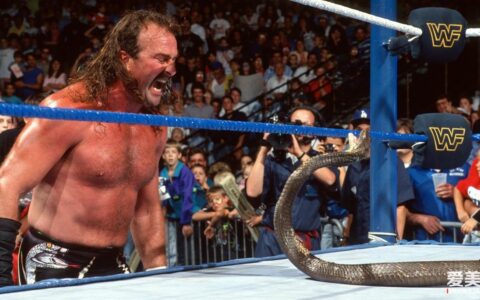 Jake "The Snake" Roberts 杰克“蛇”罗伯茨