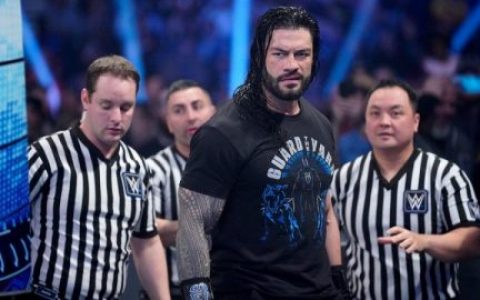 WWE超级巨星罗曼雷恩斯