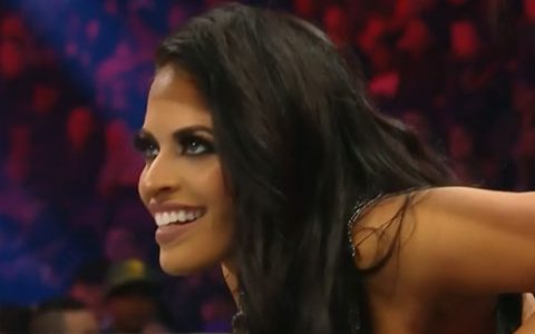 WWE解雇泽琳娜·维嘉引发民愤！
