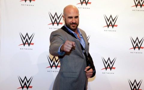 塞萨罗粉丝暴动，WWE明星推特账户再遭入侵