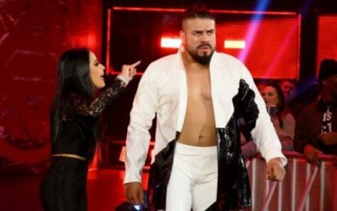 wwe超级巨星安德雷德