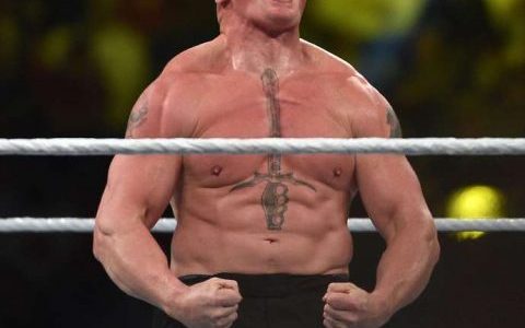 wwe超级巨星布洛克莱斯纳