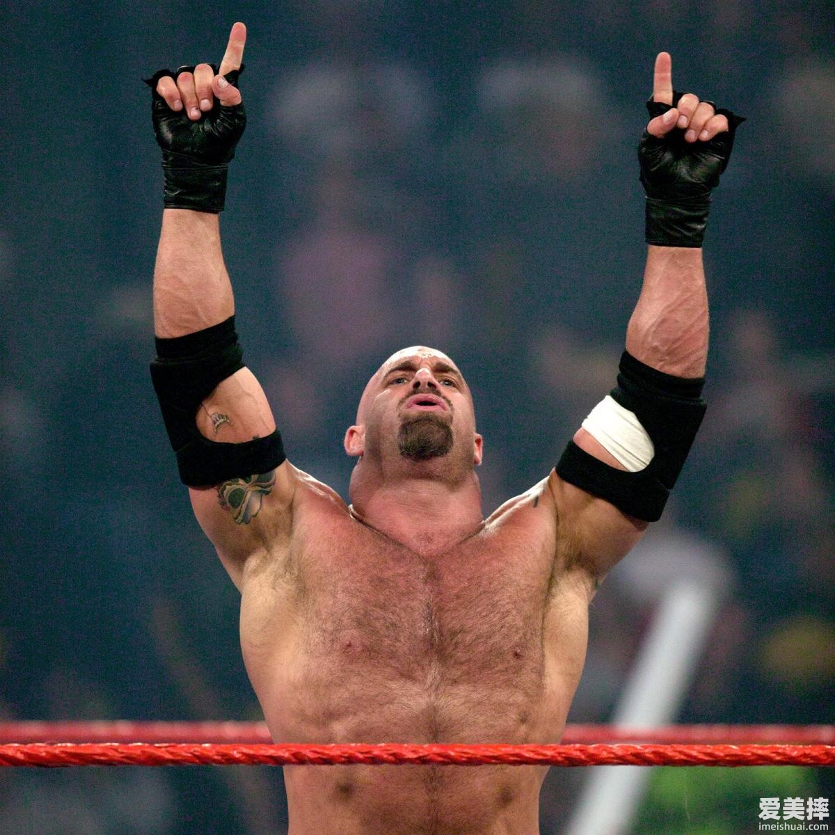 wwe战神高柏（Goldberg）