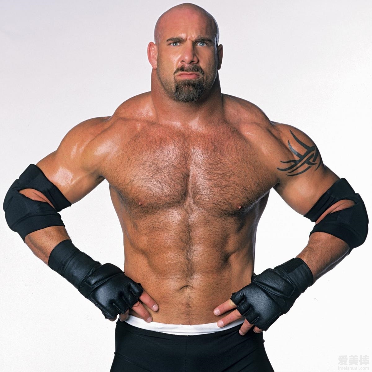wwe战神高柏（Goldberg）