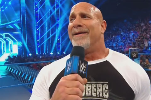 WWE高柏2