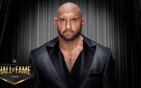 Wwe名人堂2020入选人员 (3)