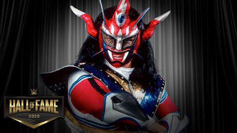 Wwe名人堂2020入选人员