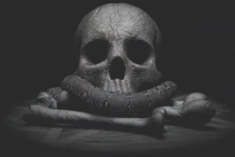 AEW选手“达斯汀罗兹”出场曲MV