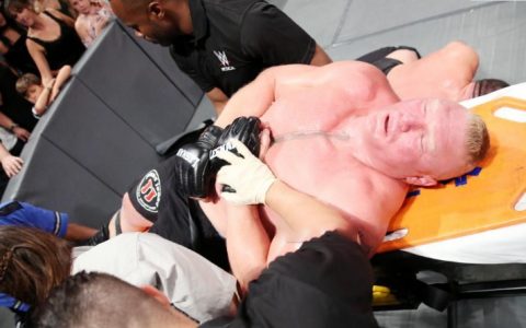 WWE布洛克莱斯纳