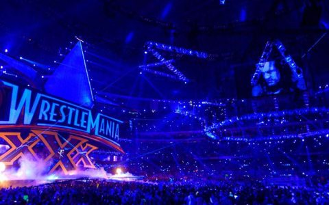 WWE摔跤狂热大赛20