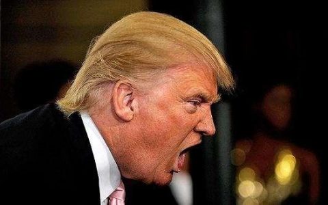 灭顶之灾还是走向繁荣！特朗普落选对WWE和UFC影响重大，他真的是最懂体育的总统吗？