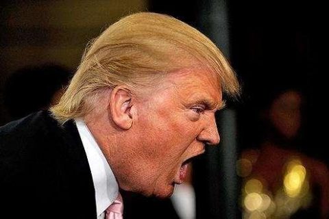 丹尼尔因推特事件被特朗普拥护者抨击！