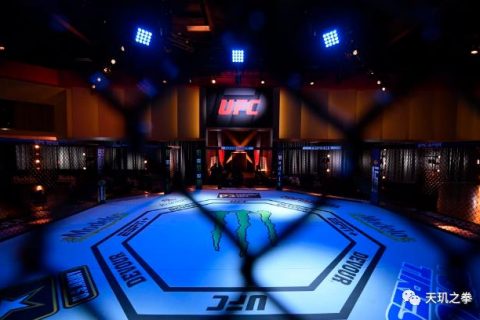 UFC 250落幕：“母狮”双冠霸业无人能敌！